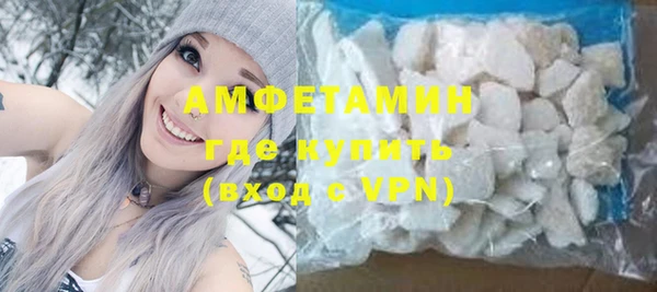 молекула духа Богданович
