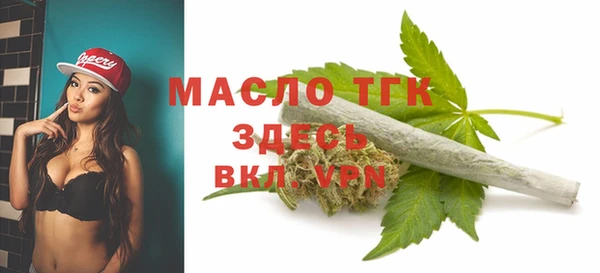 молекула духа Богданович
