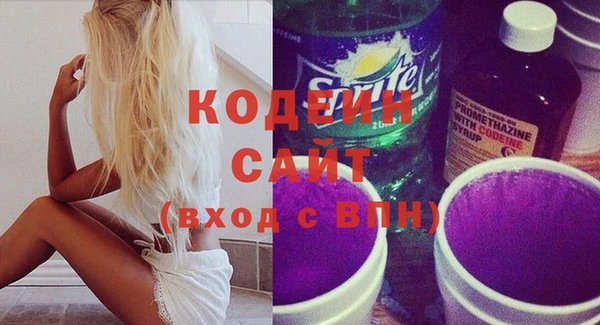 молекула духа Богданович