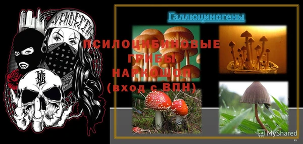 герыч Богородицк
