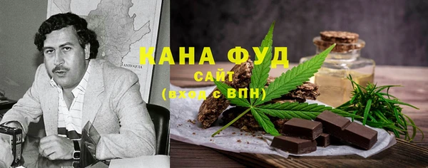 молекула духа Богданович