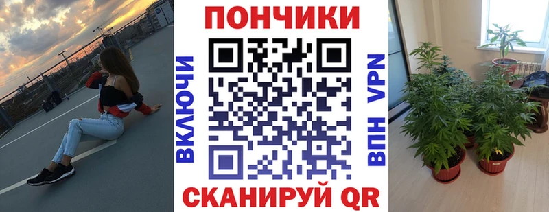 Бошки Шишки конопля  Шахты 